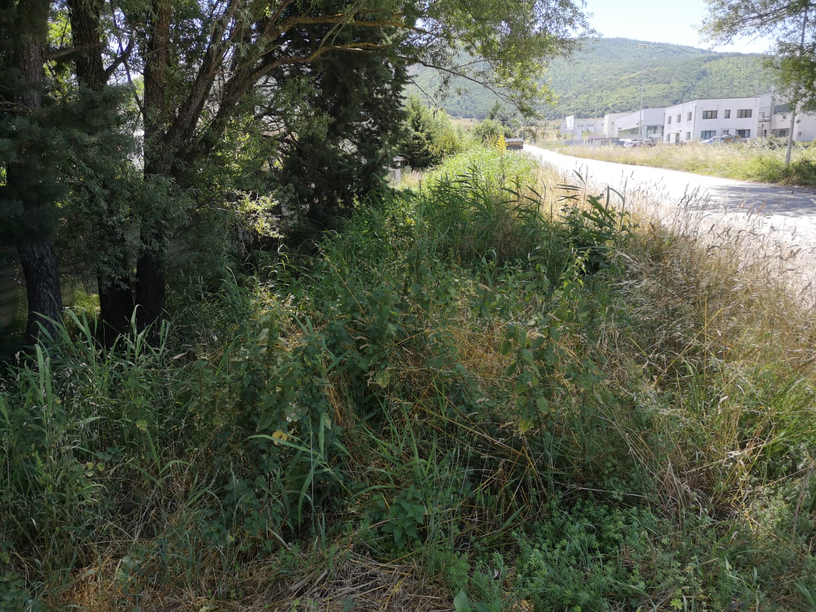 Prima dell'intervento