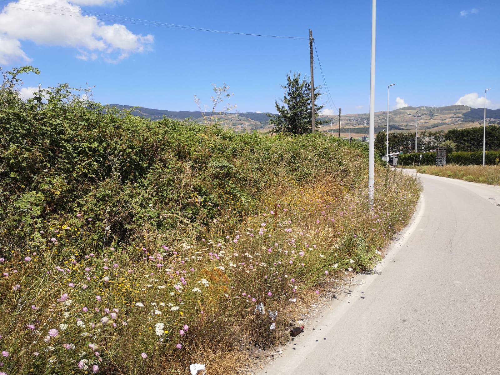 Prima dell'intervento