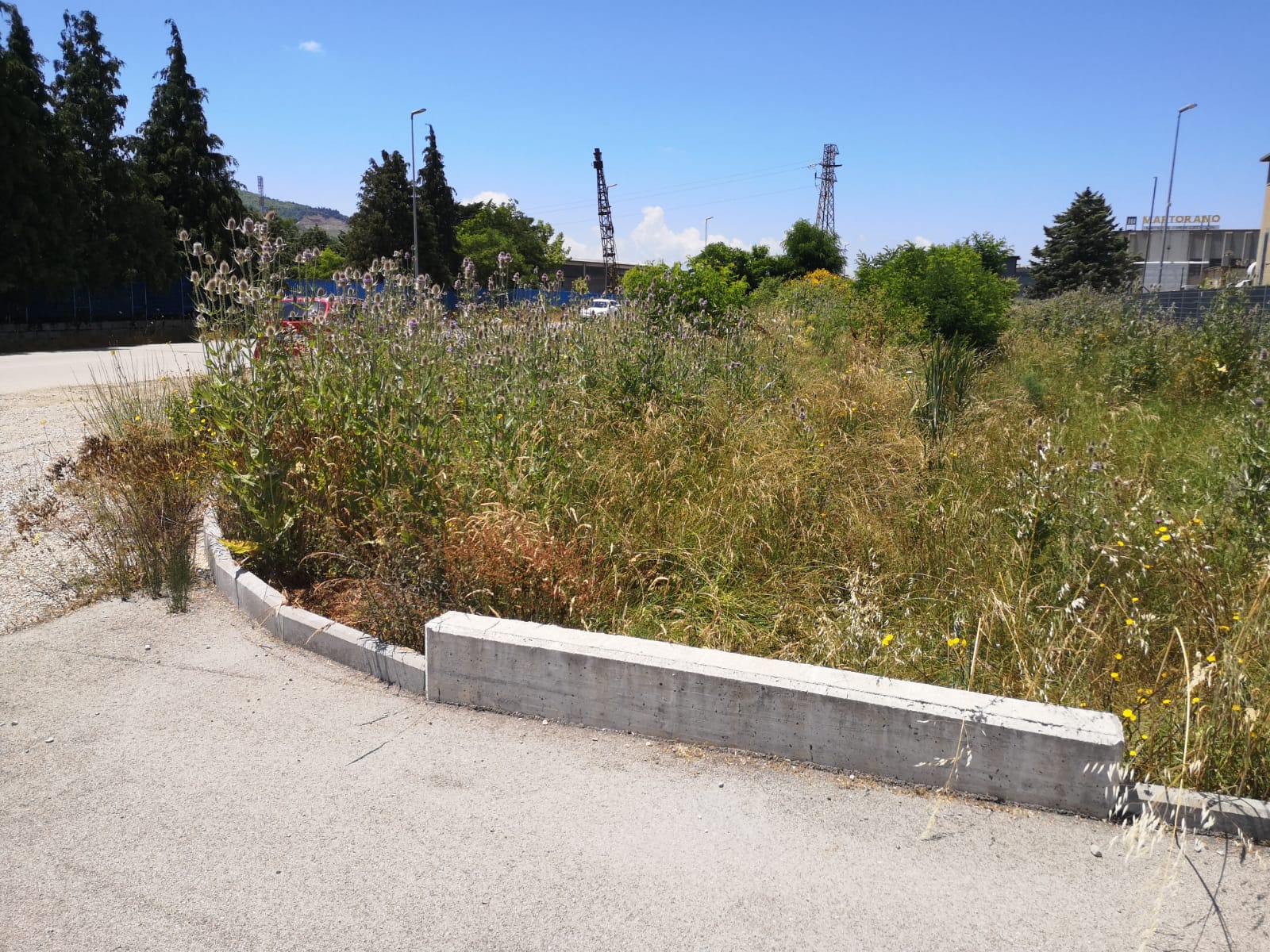 Prima dell'intervento