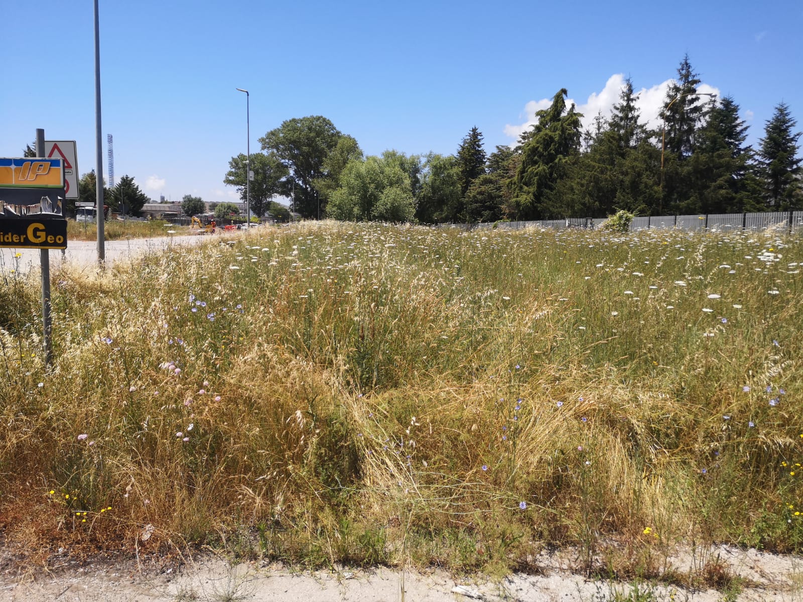 Prima dell'intervento