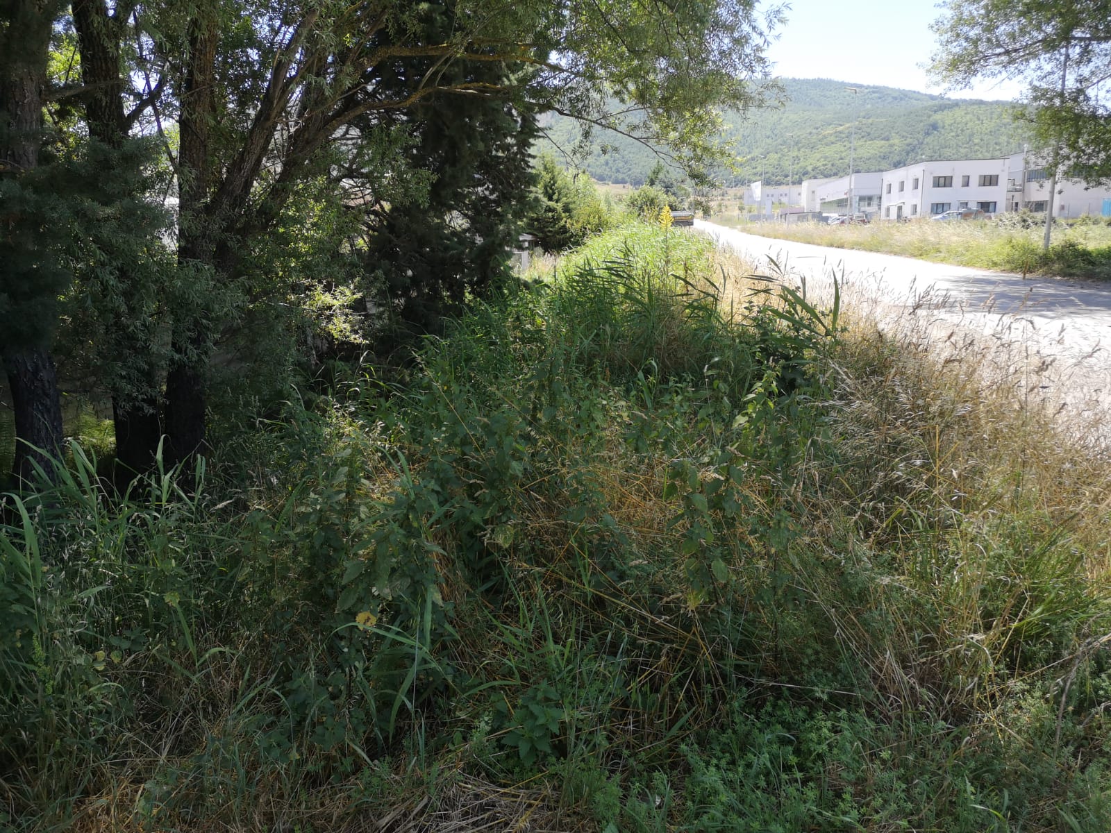 Prima dell'intervento