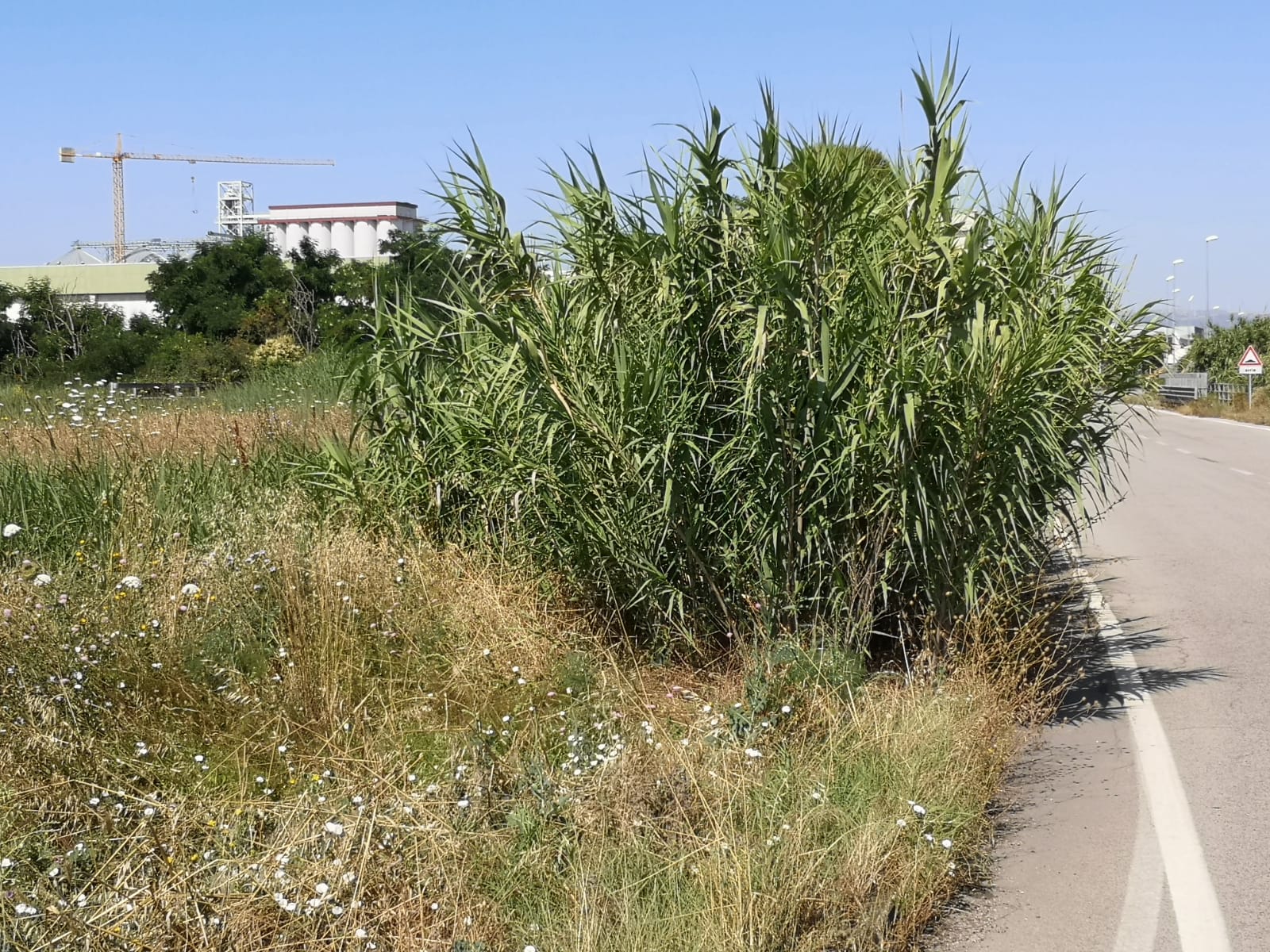 Prima dell'intervento