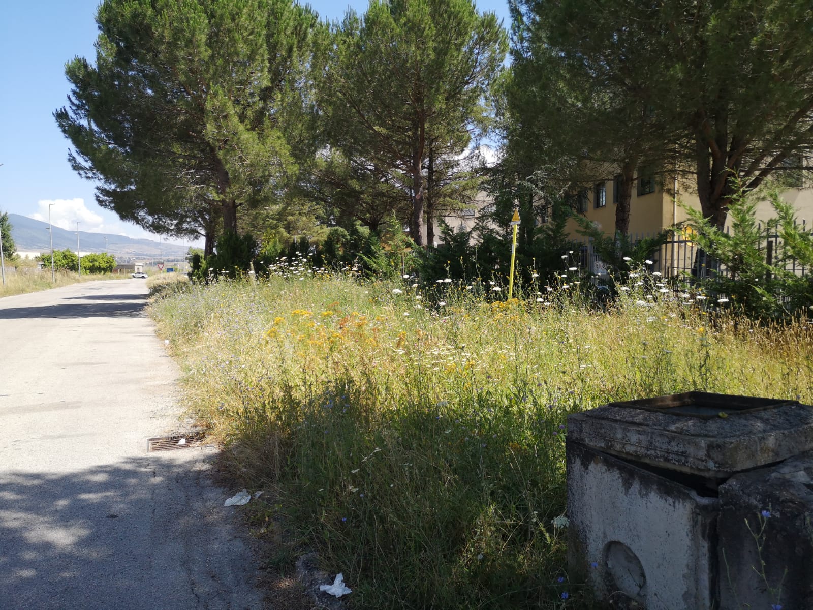 Prima dell'intervento