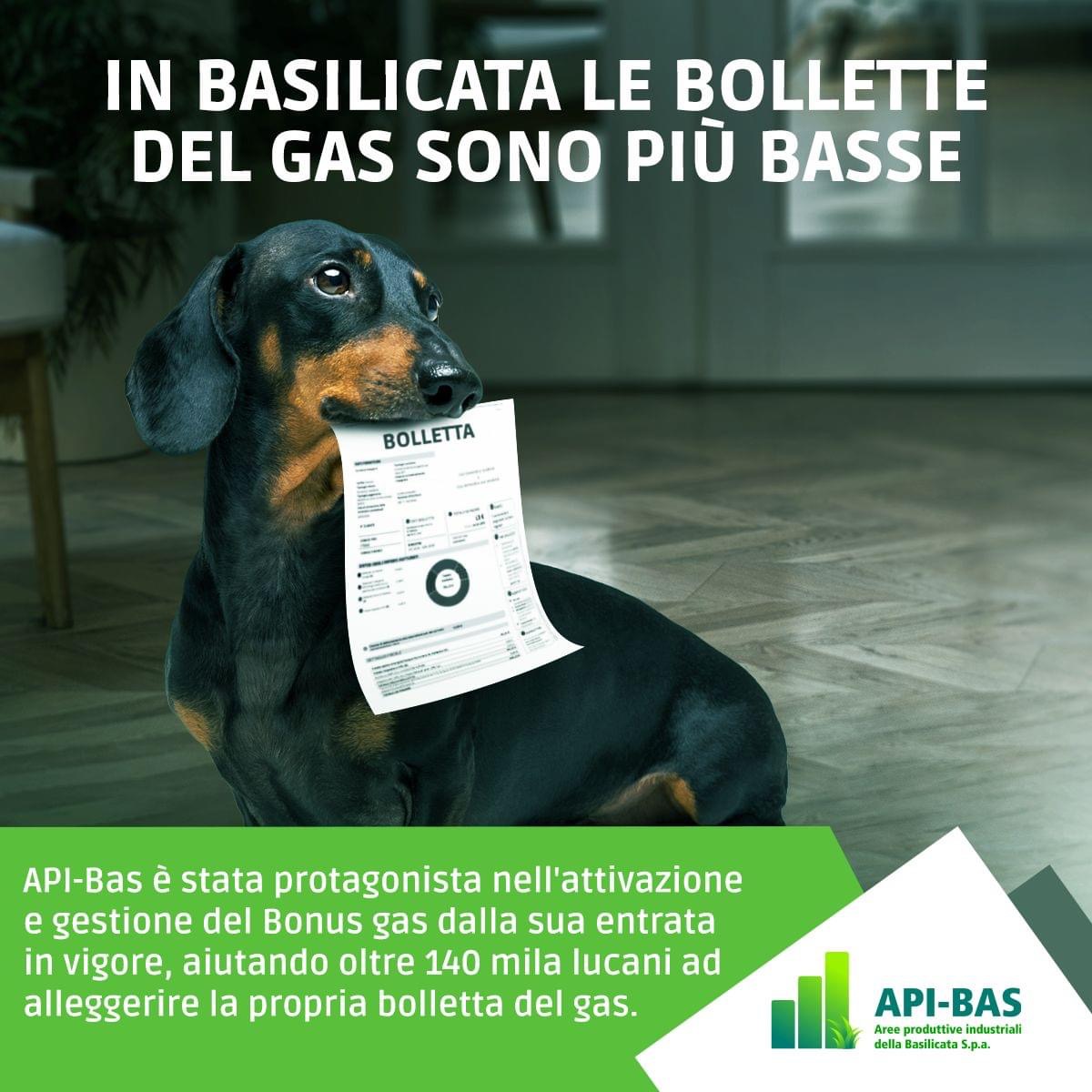 Bonusgas 1 IMG_5960